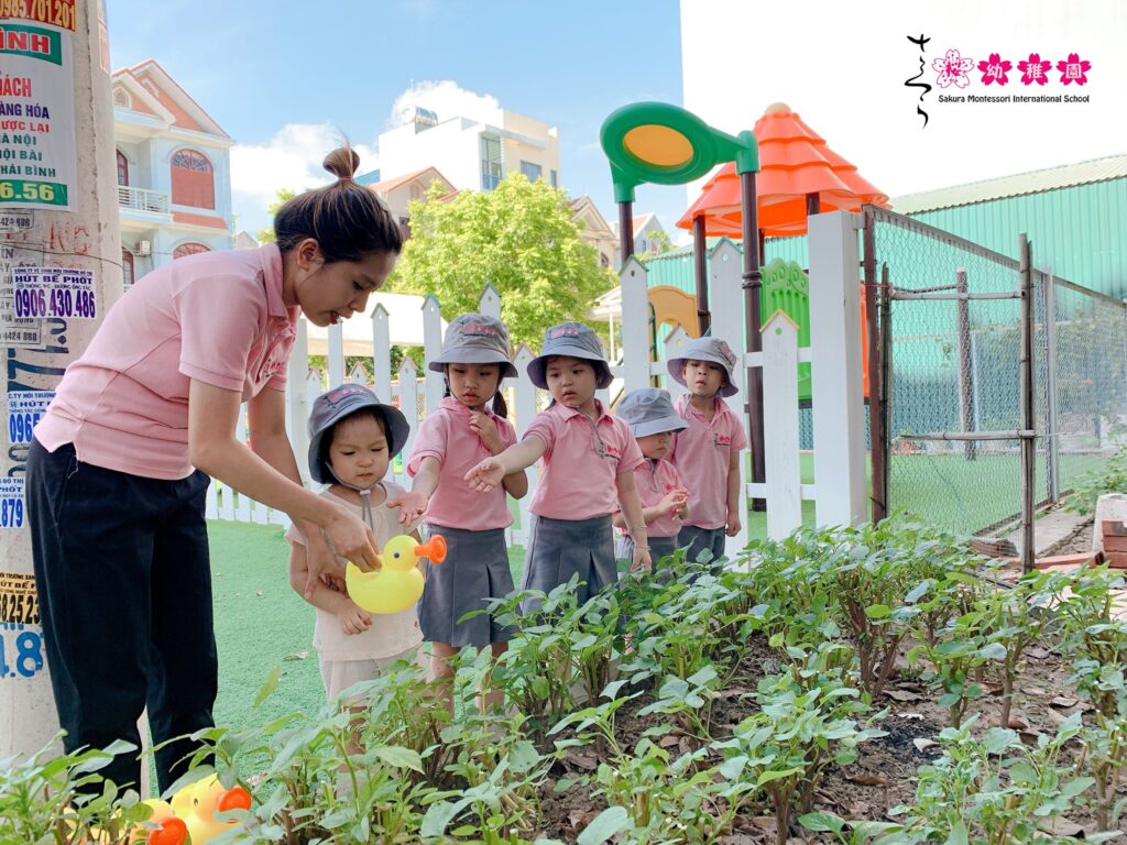 Phương pháp Montessori