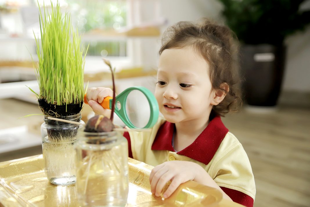 Tại Sakura Schools, trẻ được tự do sáng tạo, thể hiện những cái nhìn về thế giới quan rất riêng, qua lăng kính của bản thân