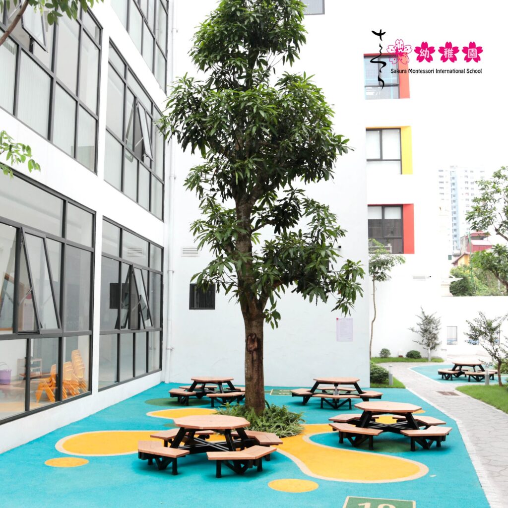 Sakura Schools khai trương trường mầm non quốc tế “đẹp nhơ mơ” tại Hà Đông