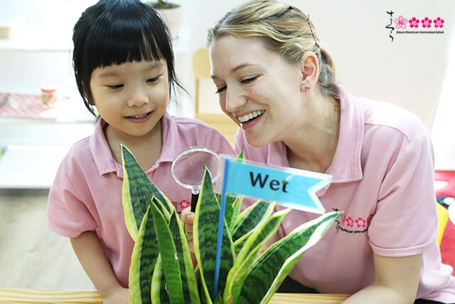 Hệ đào tạo quốc tế, trường mầm non quốc tế Sakura Schools
