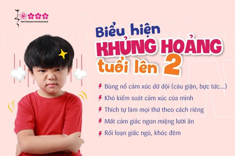 Biểu hiện khủng hoảng tuổi lên 2