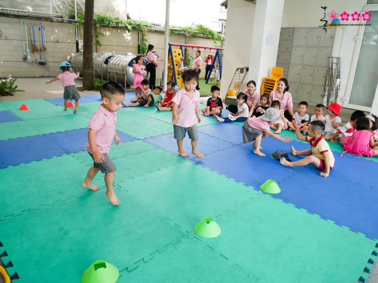 Hoạt động dã ngoại của trường mầm non Sakura Schools