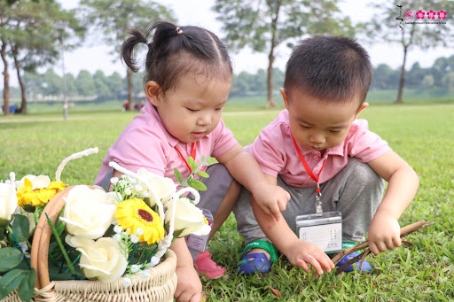 smis thuy khue