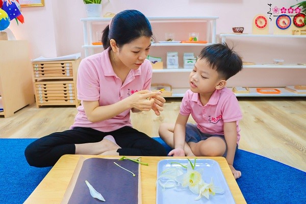 phương pháp giáo dục mầm non