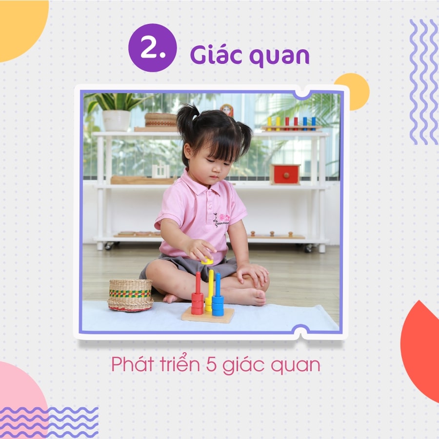 lĩnh vực montessori