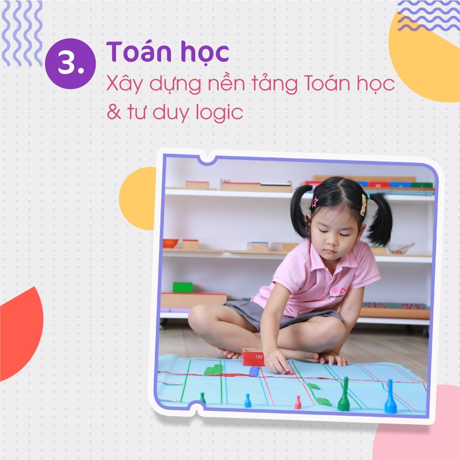 lĩnh vực montessori