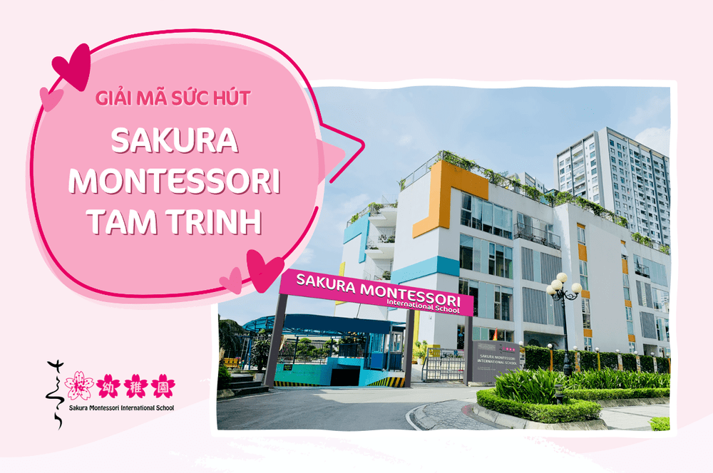 Sakura Schools Tam Trinh