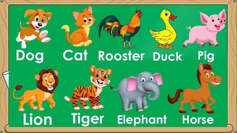 Chủ đề dạy tiếng Anh về động vật