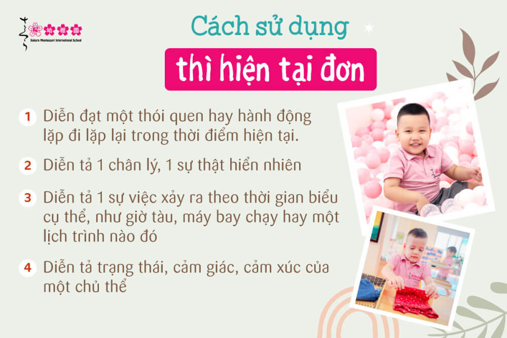 thì hiện tại đơn