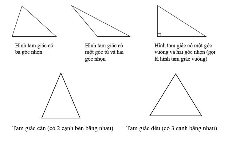 diện tích tam giác