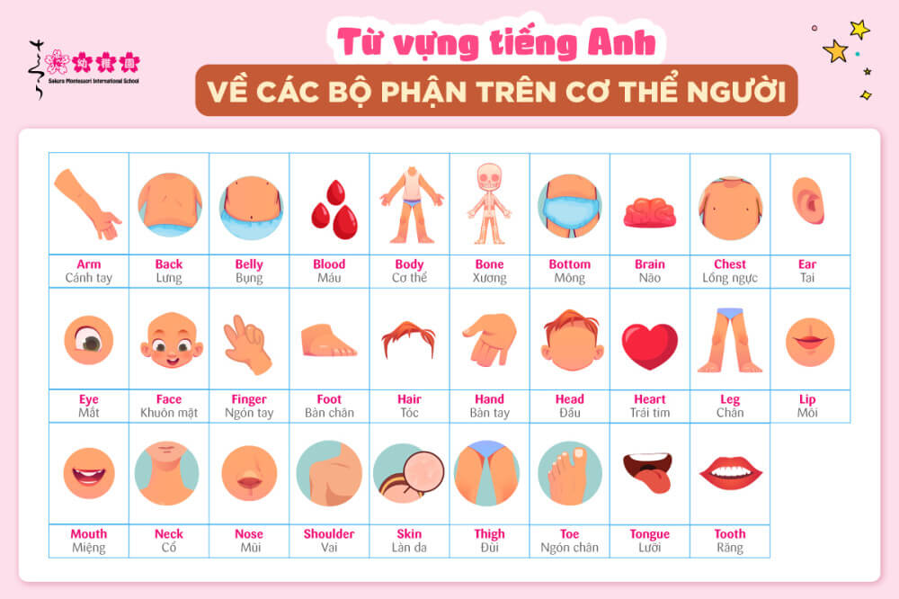 từ vựng tiếng anh