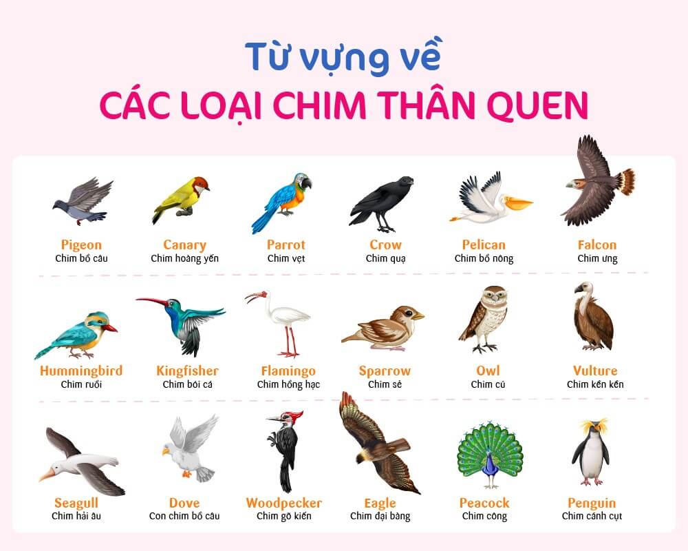 từ vựng tiếng anh