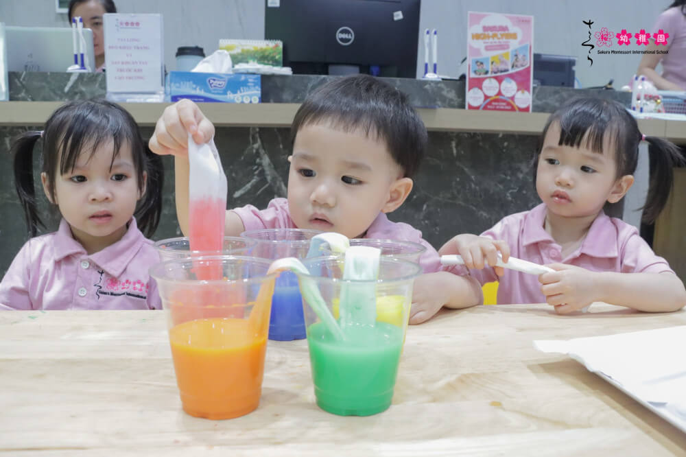 Khám phá Project based learning là gì?