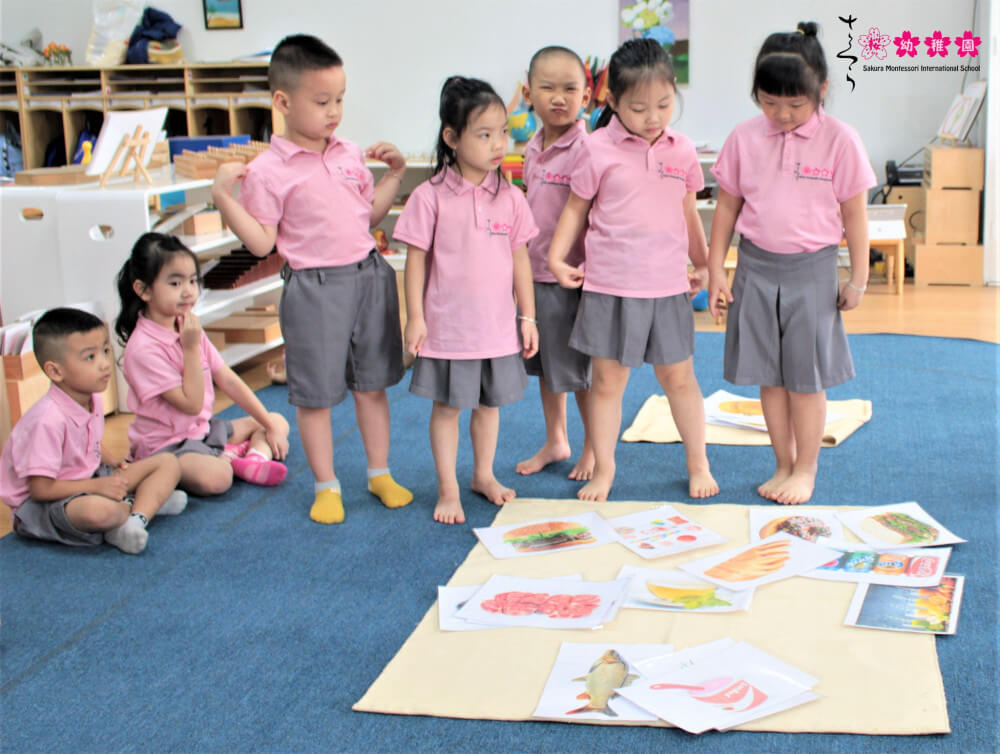 Phân loại màu sắc tiếng Anh cho bé