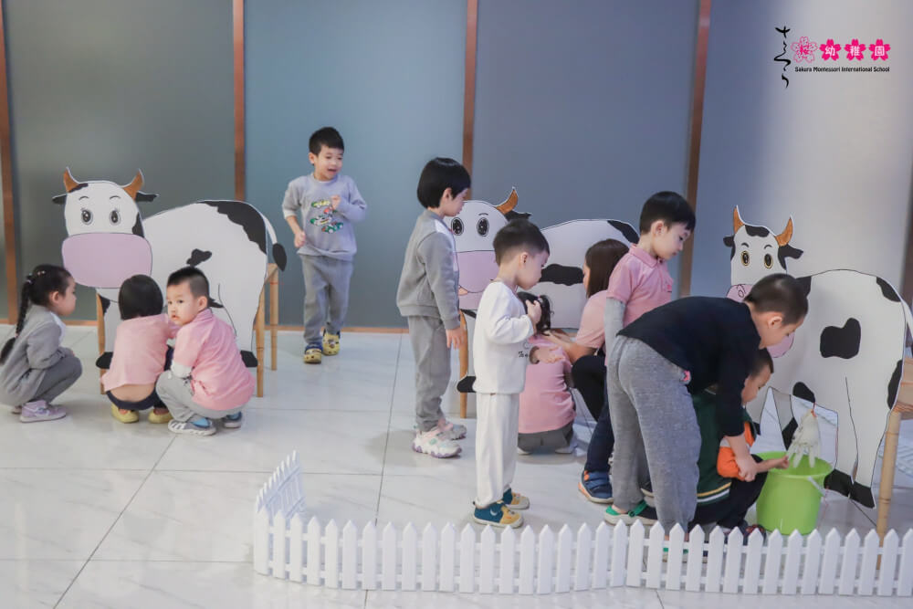 Project - based learning phát triển kỹ năng làm việc nhóm