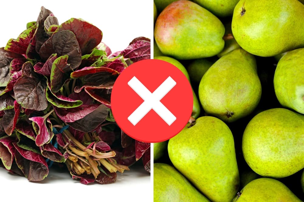 những món kỵ nhau cho bé ăn dặm