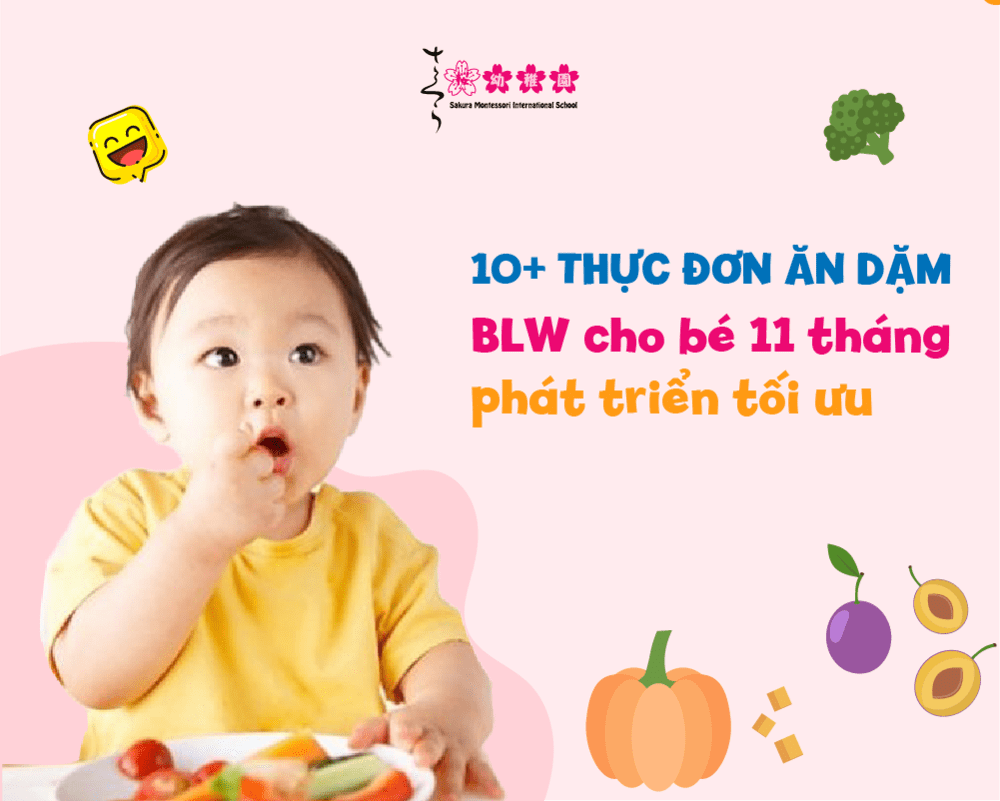 thực đơn ăn dặm BLW cho bé 11 tháng 