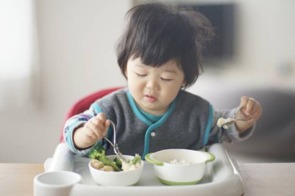 thực đơn ăn dặm BLW cho bé 11 tháng 