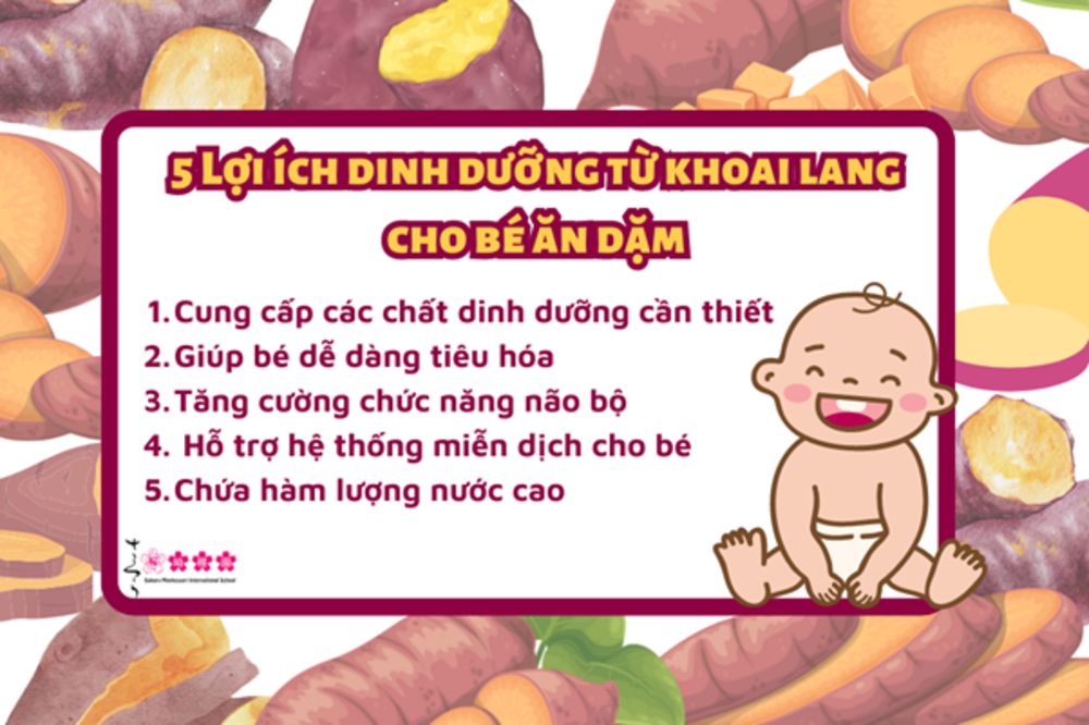 món ăn dặm từ khoai lang