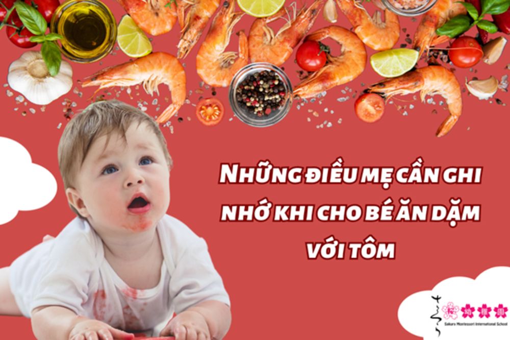 Những điều mẹ cần ghi nhớ khi cho bé ăn dặm với tôm