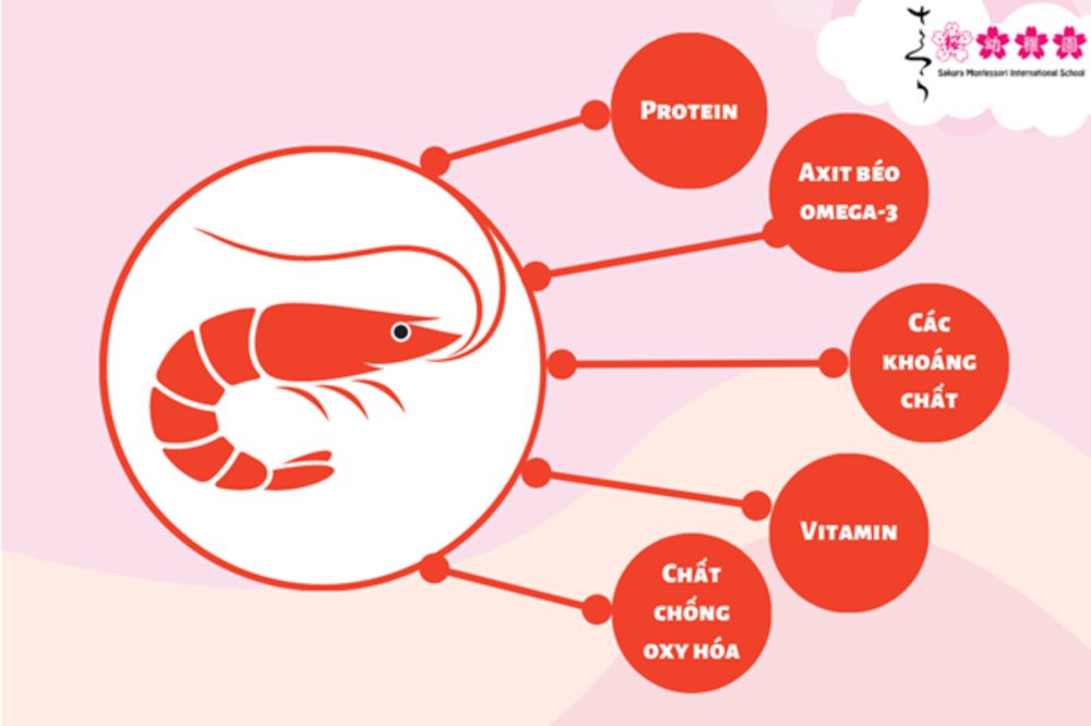 Những lợi ích không thể bỏ qua từ tôm