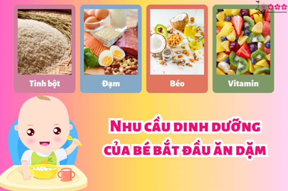 thực đơn cho bé bắt đầu ăn dặm