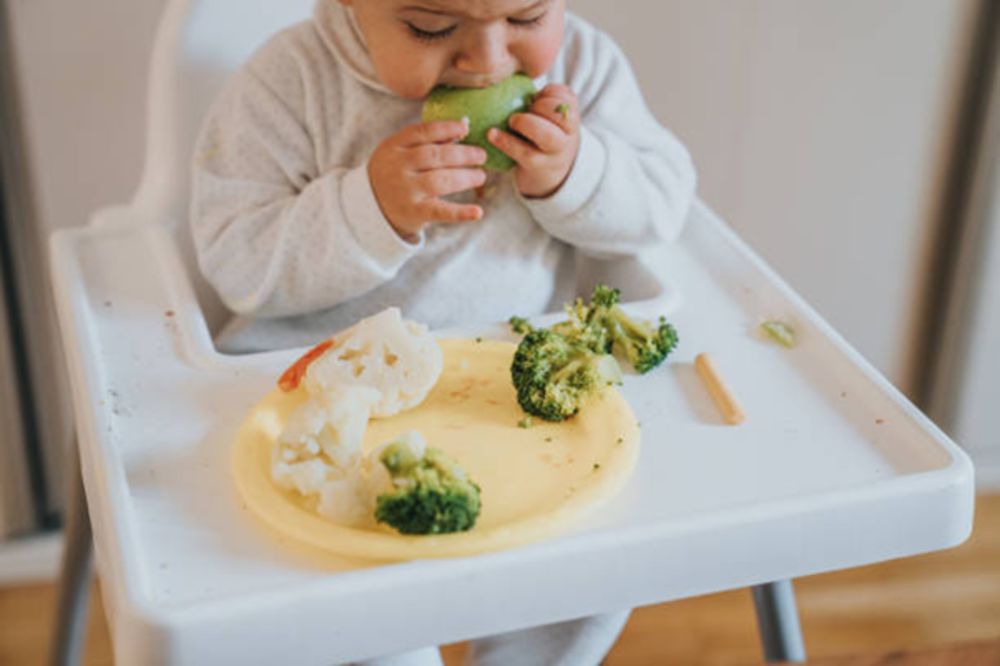 Tại sao ăn dặm BLW có thể khiến trẻ hóc