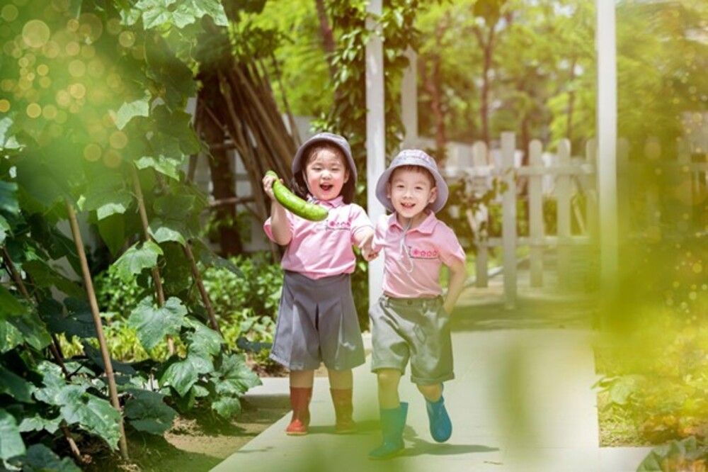 học phí mầm non tư thục
