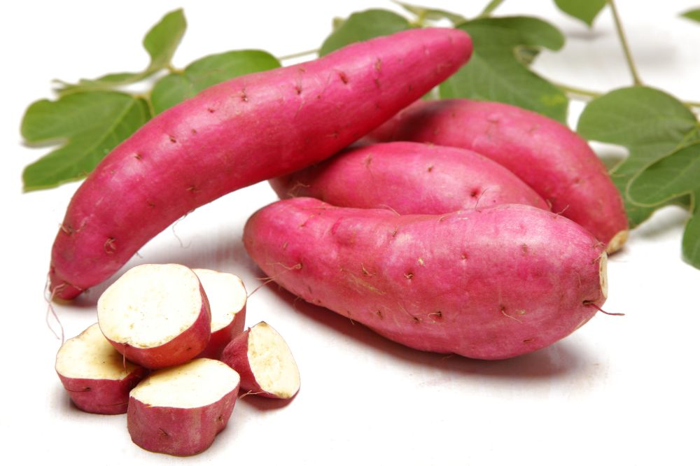 món ăn dặm từ khoai lang cho bé 6 tháng