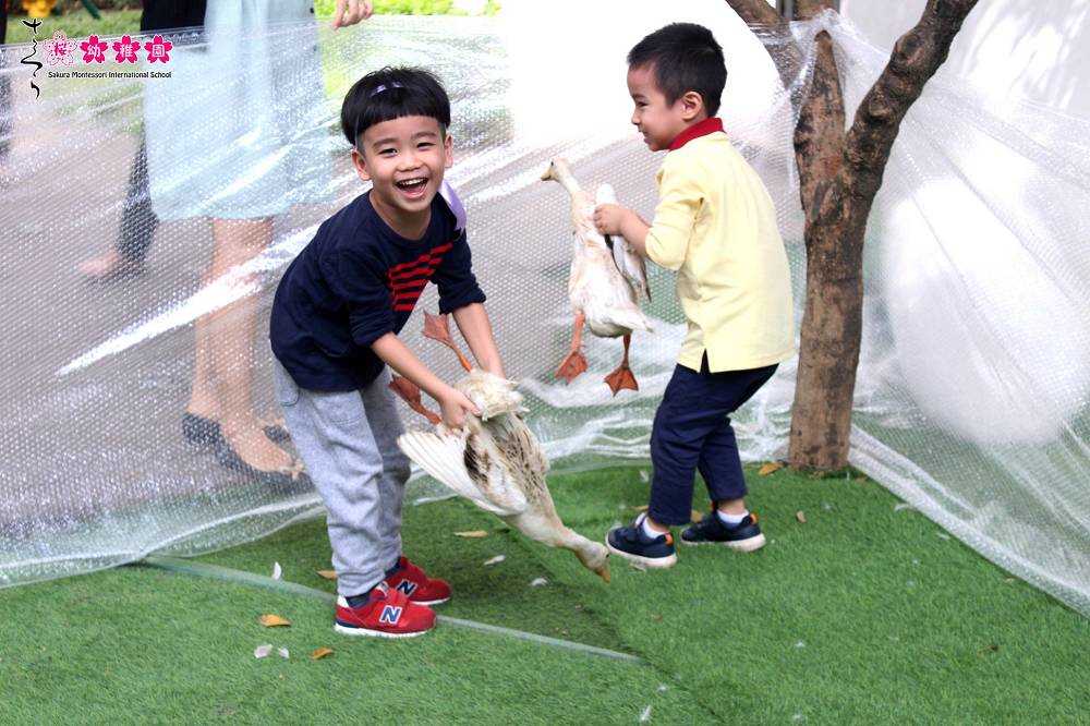 trò chơi vận động cho trẻ