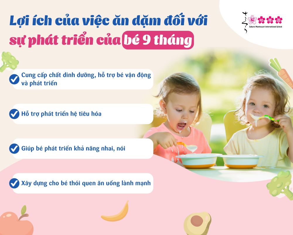 Trẻ 9 tháng ăn dặm mấy bữa, lịch trình ăn dặm giúp bé phát triển toàn diện