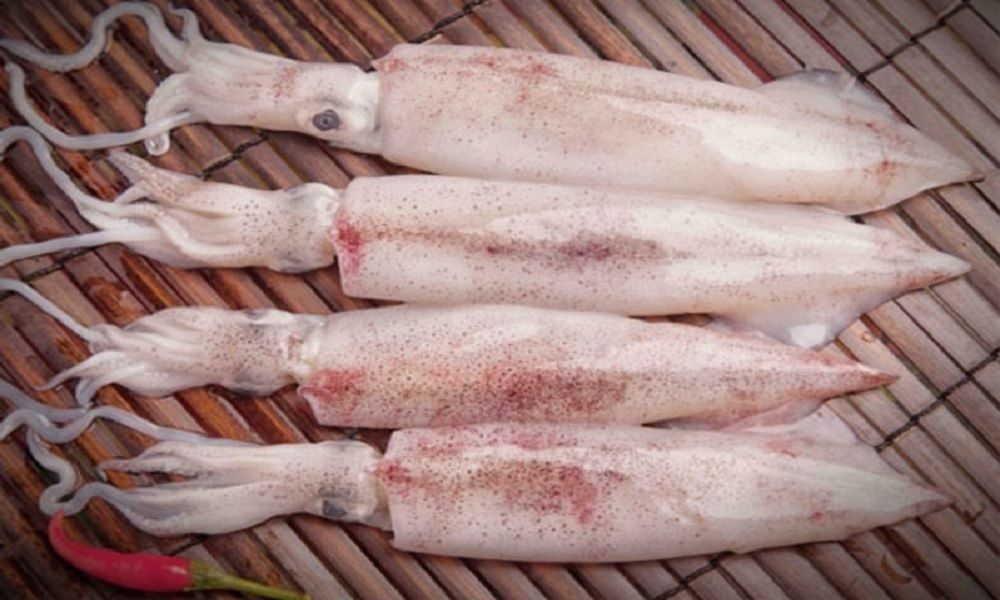 Cách chọn mực tươi ngon