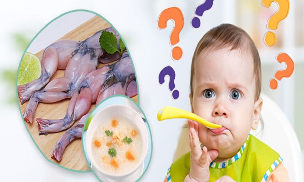 Cháo ếch ăn dặm dành cho bé mấy tháng tuổi?