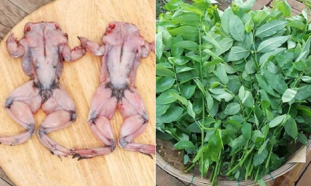 Cháo ếch nấu rau ngót