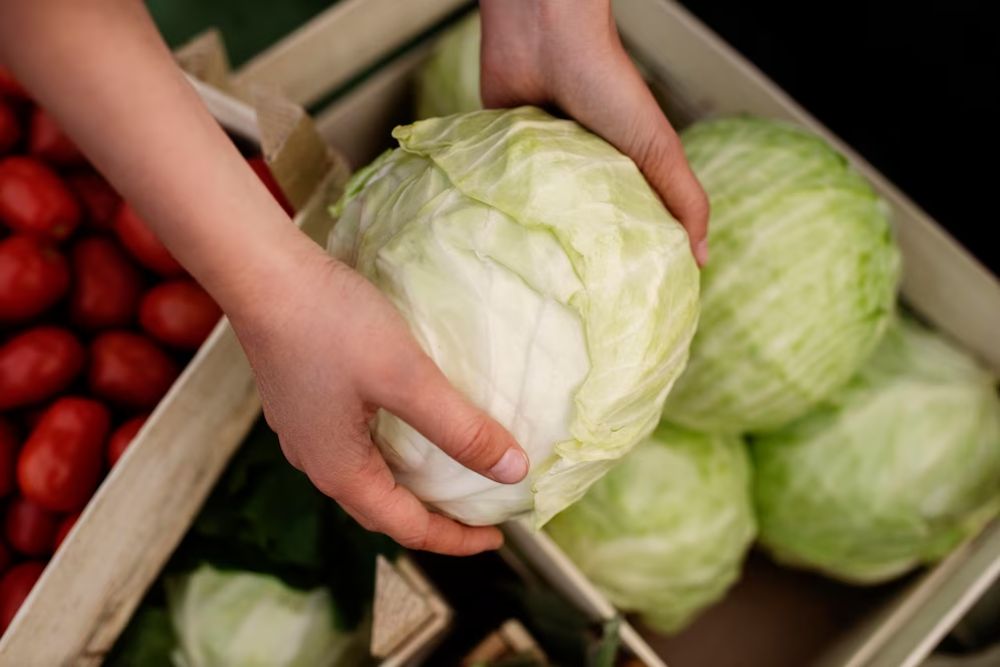 Cho bé ăn dặm với rau bắp cải