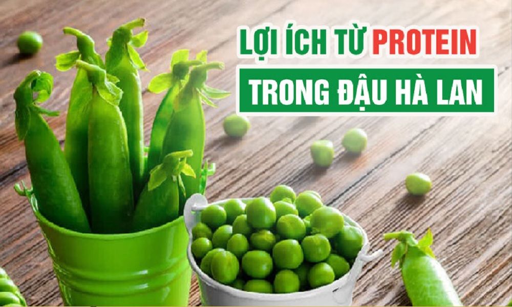 Đậu hà lan cung cấp nguồn protein dinh dưỡng