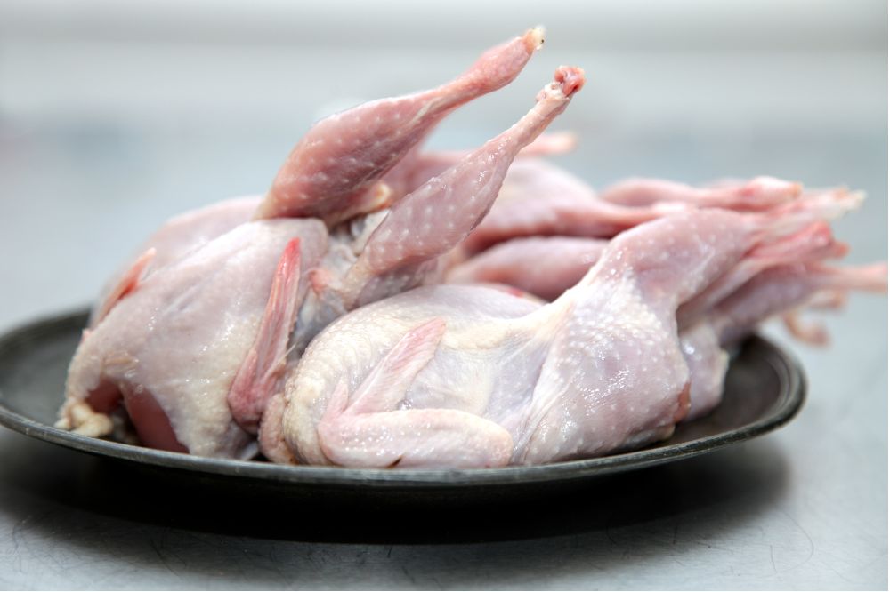 Món chim bồ câu cho bé ăn dặm bổ dưỡng, thơm ngon