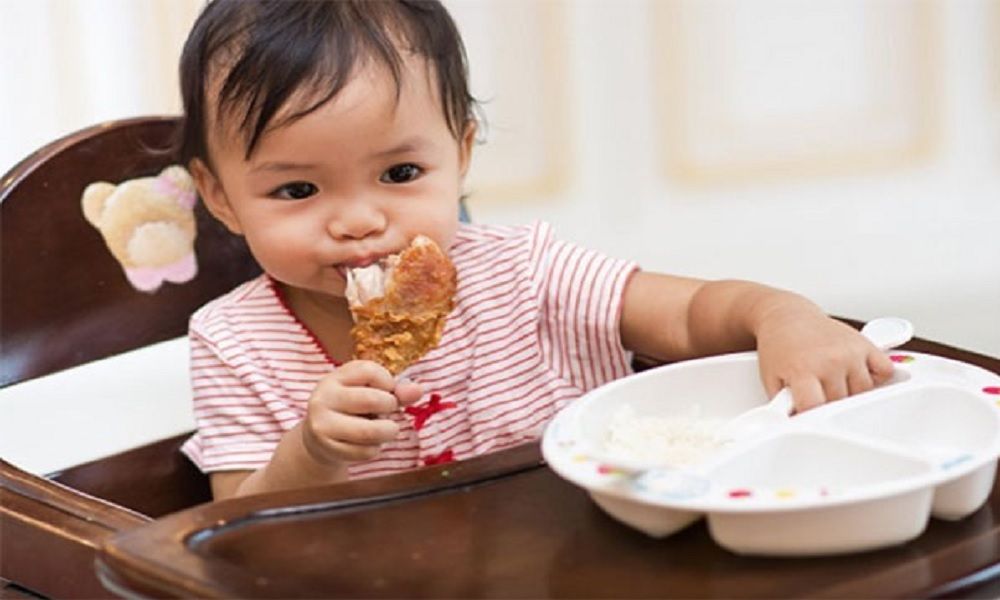 Những lợi ích từ việc chế biến thịt gà cho bé ăn dặm