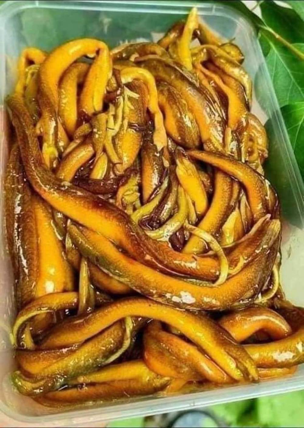 Sơ chế lươn khử tanh nấu ăn dặm cho trẻ