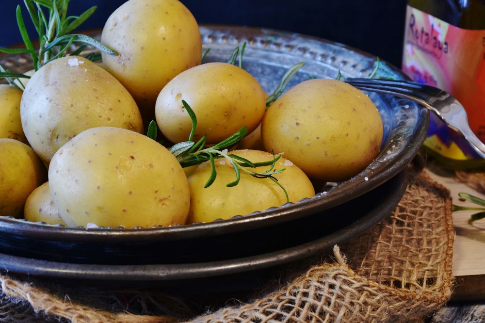 khoai tây cho bé ăn dặm