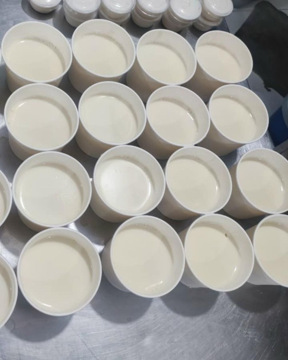 Đậu hũ non làm từ đậu gà