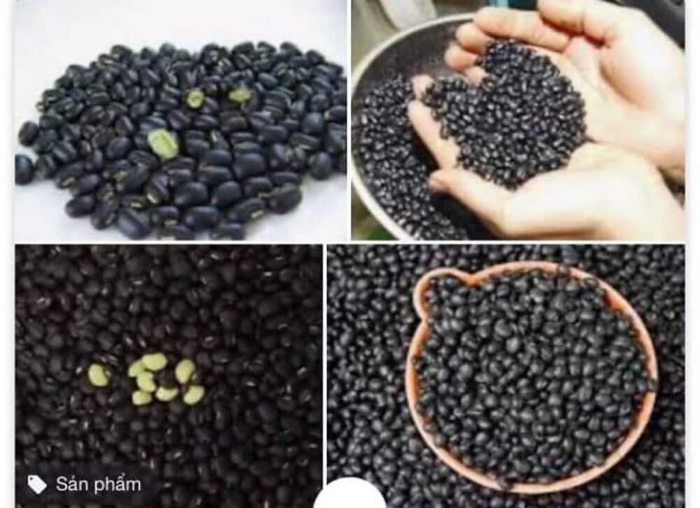 Đỗ đen có tính mát, giải nhiệt