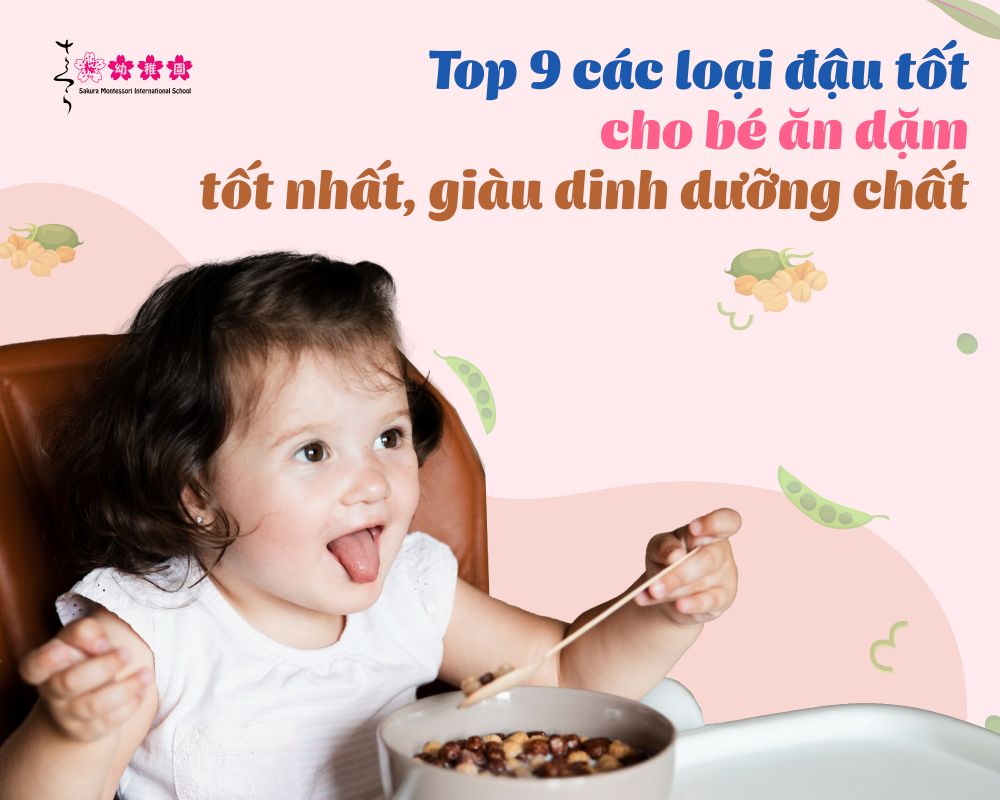 Top 9 loại đậu cho bé ăn dặm tốt nhất, giàu dưỡng chất