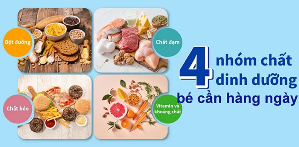 Thực đơn hàng ngày của bé cần đảm bảo đầy đủ 4 nhóm dưỡng chất quan trọng 