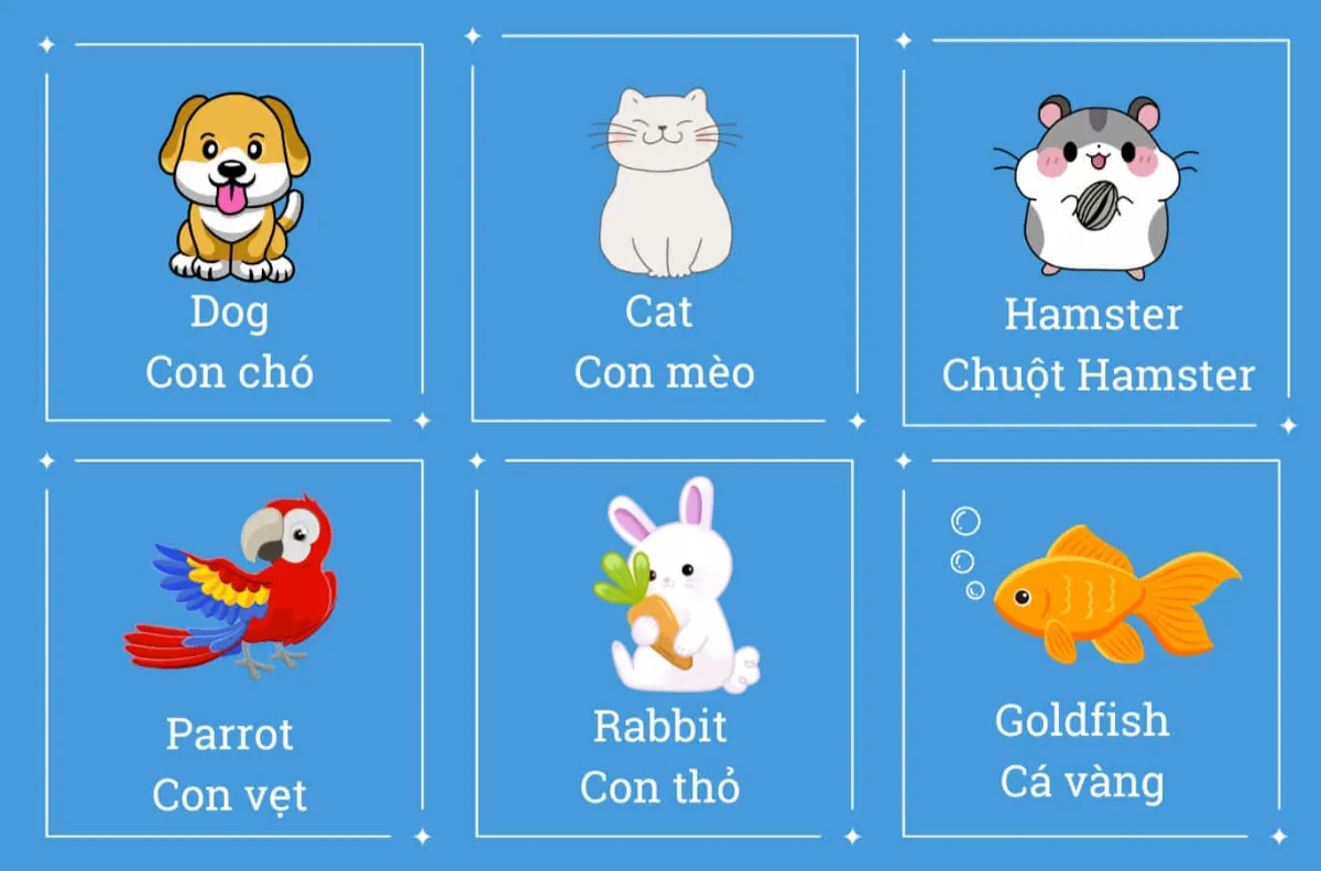 Đồ chơi và flashcard - công cụ học tập trực quan, sinh động cho bé