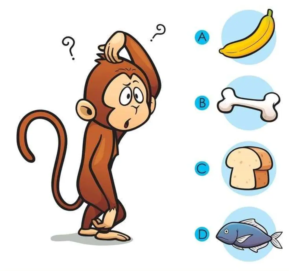 Dạng bài nối các vật có mối liên quan ở 2 cột giúp bé phát triển khả năng phân tích và tư duy logic 