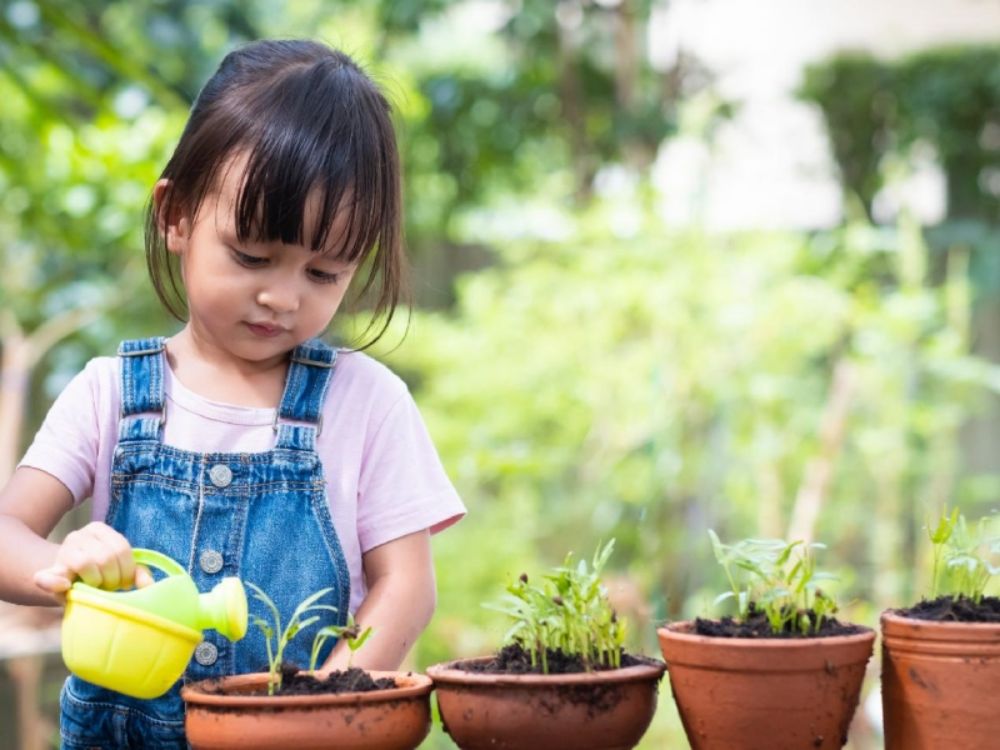 Hoạt động: Trồng cây mầm đơn giản (giá đỗ/hành lá)