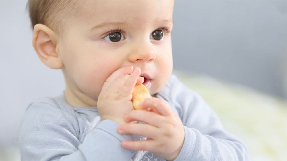 Chia nhỏ khẩu phần và kiểm soát tần suất là chìa khóa để bé ăn vặt an toàn (Ảnh: sưu tầm internet).