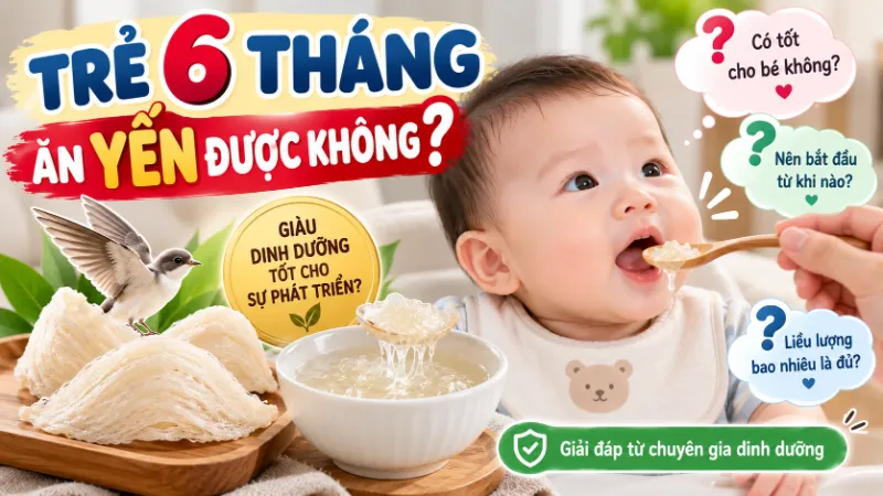Trẻ 6 Tháng Ăn Yến Được Không