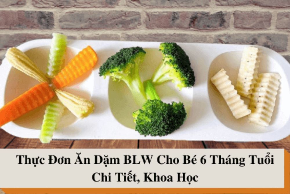 Thực đơn BLW cho bé 6 tháng